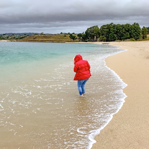 Meet your Posher,Penny - Picture 4 of 7